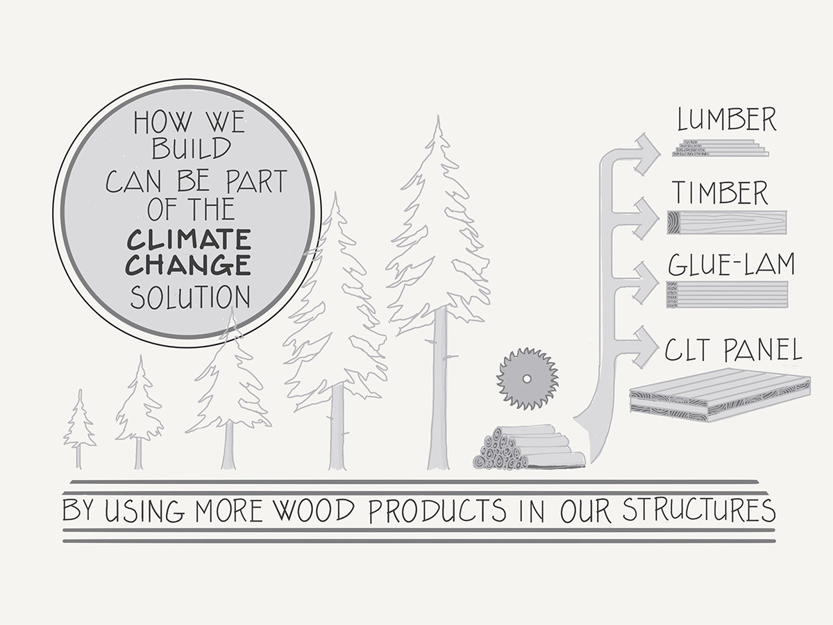 Carolina Timberworks - sustainability comic 2