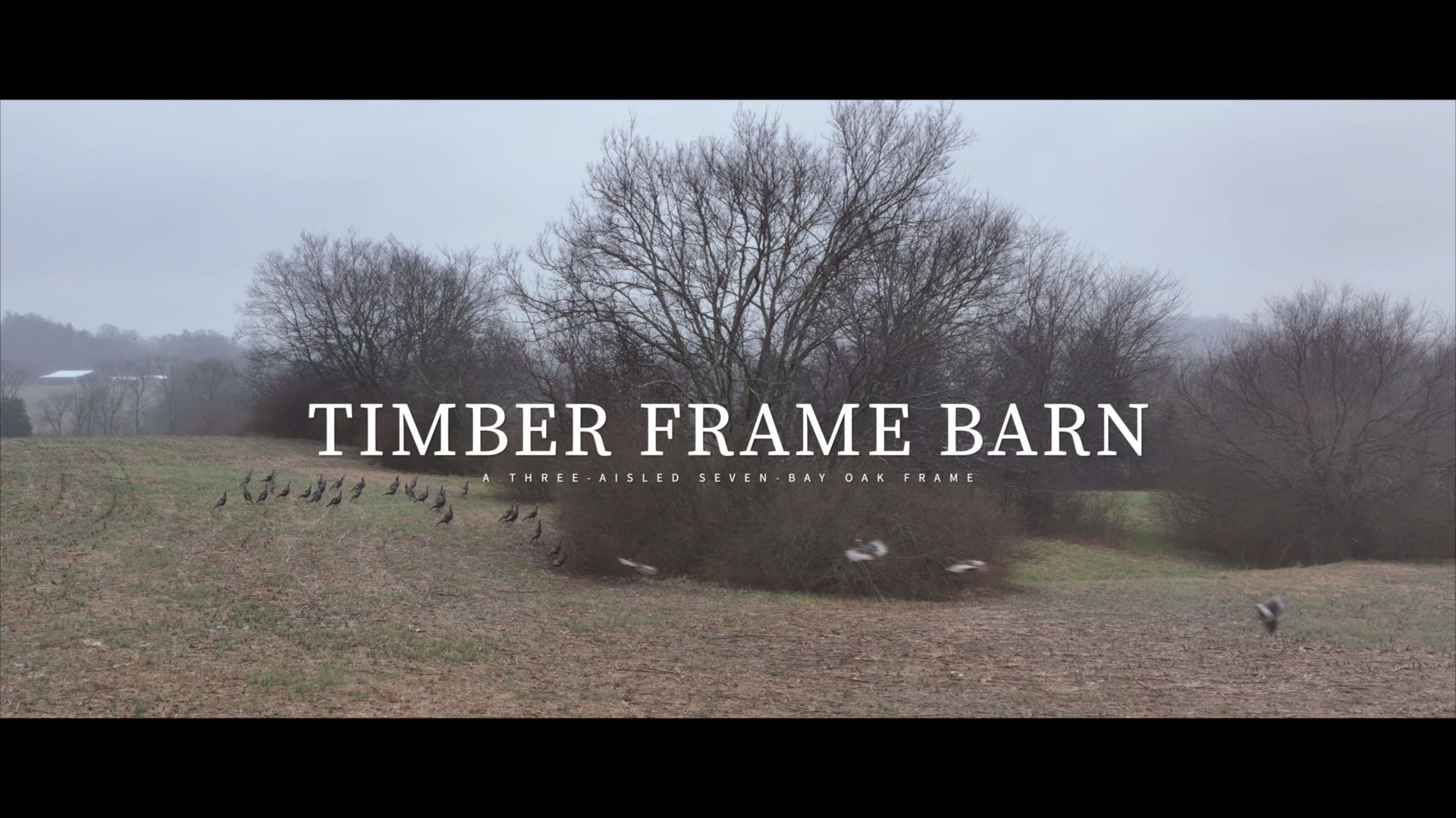 timber frame barn video